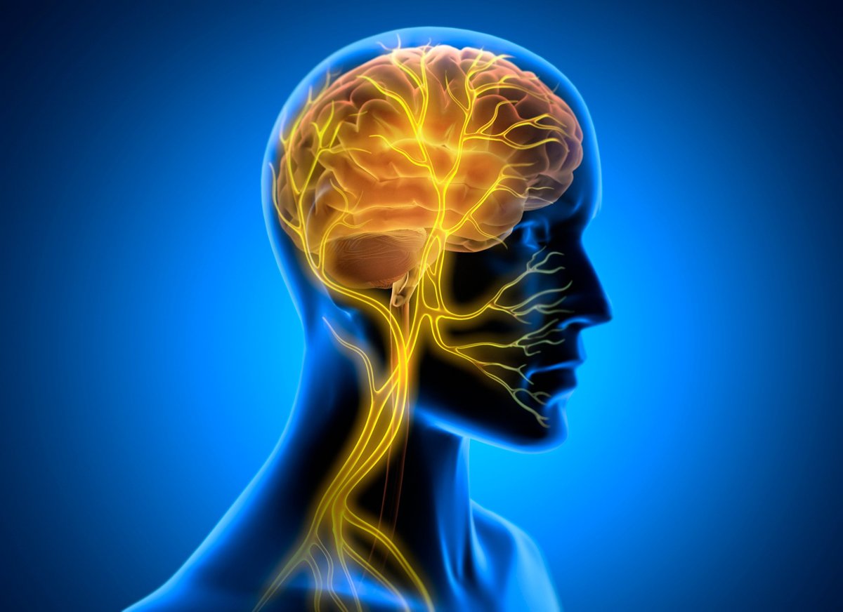 Vagus nerve stimulation showing energy healing pathways